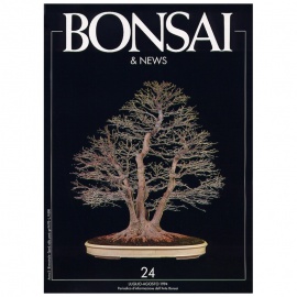 BONSAI & NEWS 24 SPECIALE STILE A BOSCO - LUG-AGO 1994