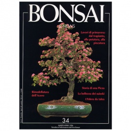 BONSAI & NEWS 34 - MAR-APR 1996