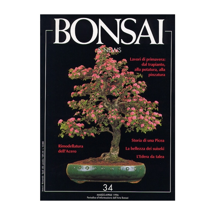 BONSAI & NEWS 34 - MAR-APR 1996