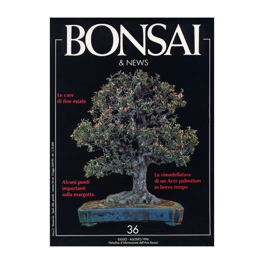 BONSAI & NEWS 36 - LUG-AGO 1996