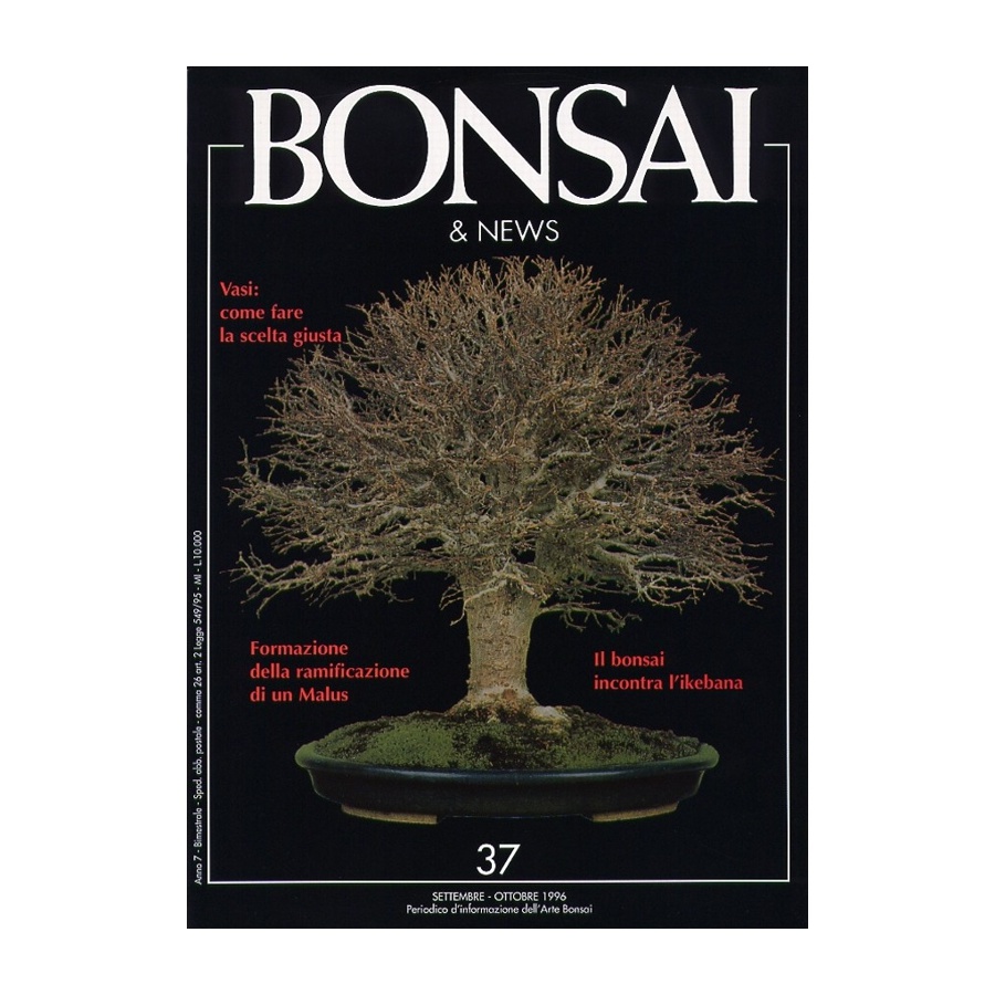 BONSAI & NEWS 37 - SET-OTT 1996