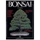 BONSAI & NEWS 38 - NOV-DIC 1996