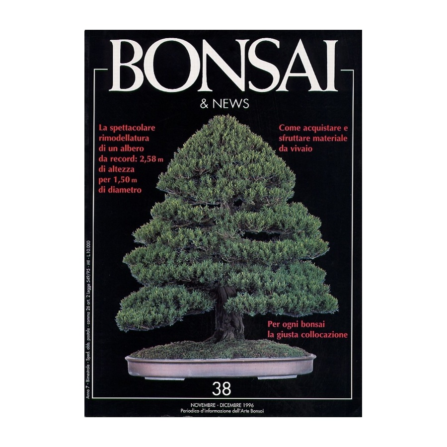 BONSAI & NEWS 38 - NOV-DIC 1996