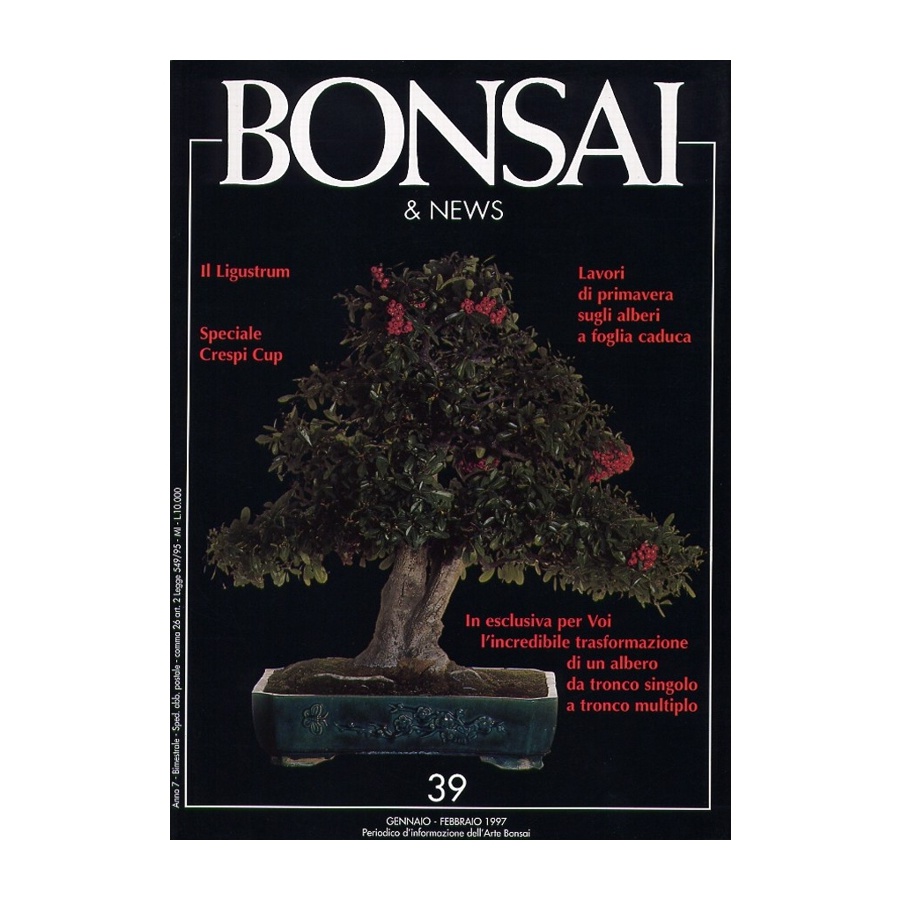 BONSAI & NEWS 39 - GEN-FEB 1997