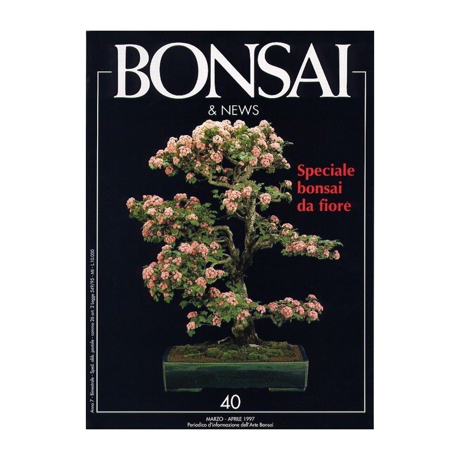 BONSAI & NEWS 40 SPECIALE BONSAI DA FIORE - MAR-APR 1997
