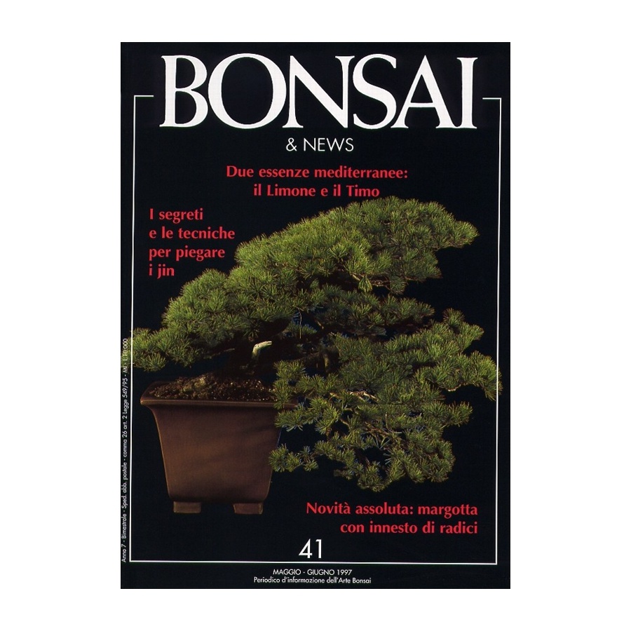 BONSAI & NEWS 41 - MAG-GIU 1997