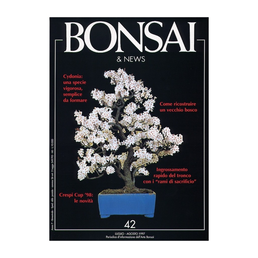 BONSAI & NEWS 42 - LUG-AGO 1997