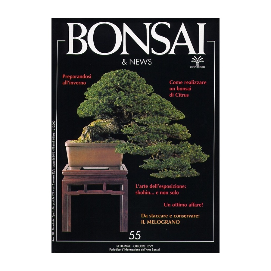 BONSAI & NEWS 55 - SET-OTT 1999