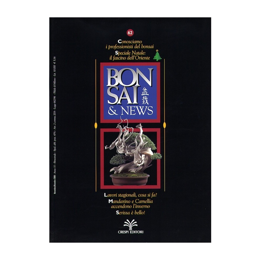 BONSAI & NEWS 62 - NOV-DIC 2000