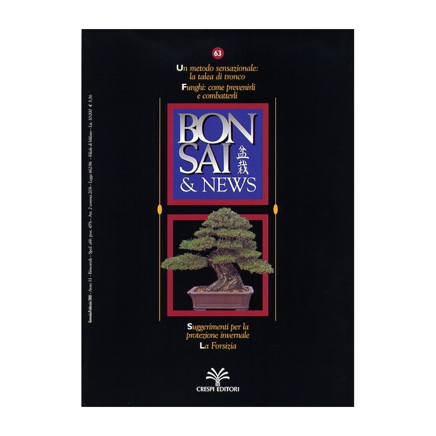 BONSAI & NEWS 63 - GEN-FEB 2001