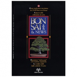 BONSAI & NEWS 66 - LUG-AGO 2001