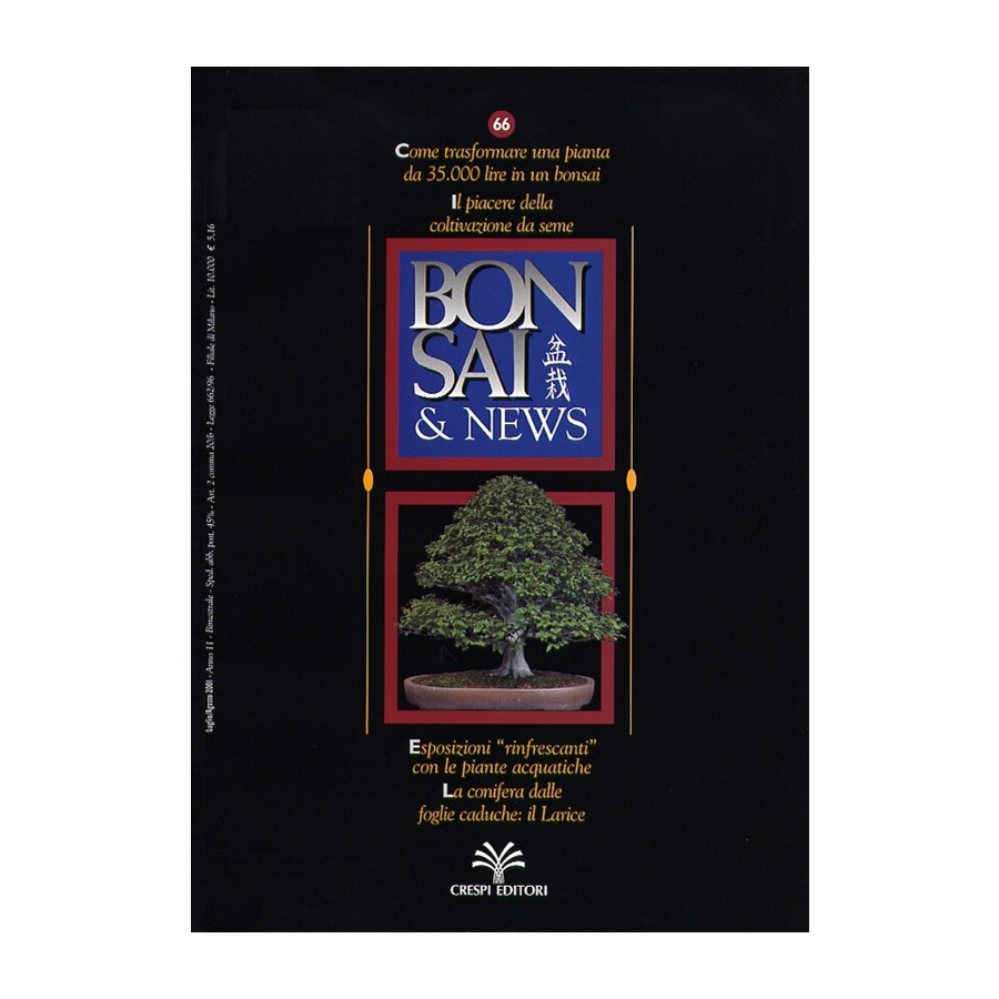 BONSAI & NEWS 66 - LUG-AGO 2001