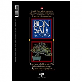 BONSAI & NEWS 74 - NOV-DIC 2002