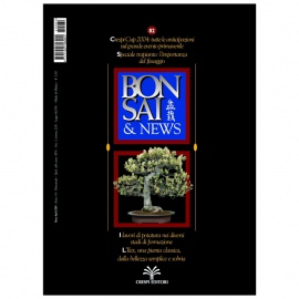 BONSAI & NEWS 82 - MAR-APR 2004