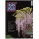 BONSAI & NEWS 143 - MAG-GIU 2014