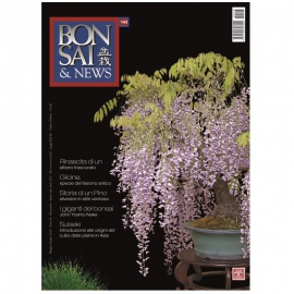 BONSAI & NEWS 143 - MAG-GIU 2014