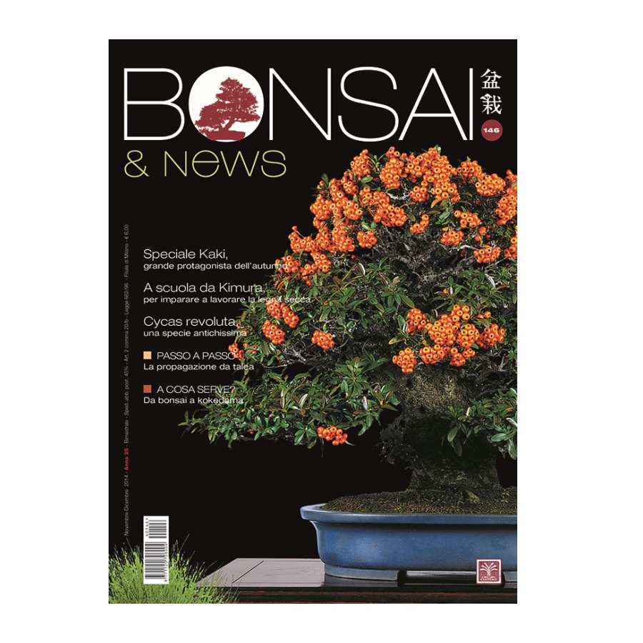 BONSAI & NEWS 146 - NOV-DIC 2014