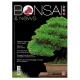 BONSAI & NEWS 155 - MAG-GIU 2016