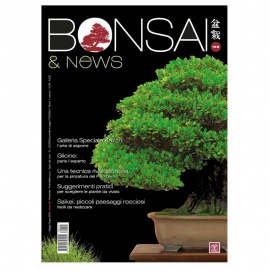BONSAI & NEWS 155 - MAG-GIU 2016