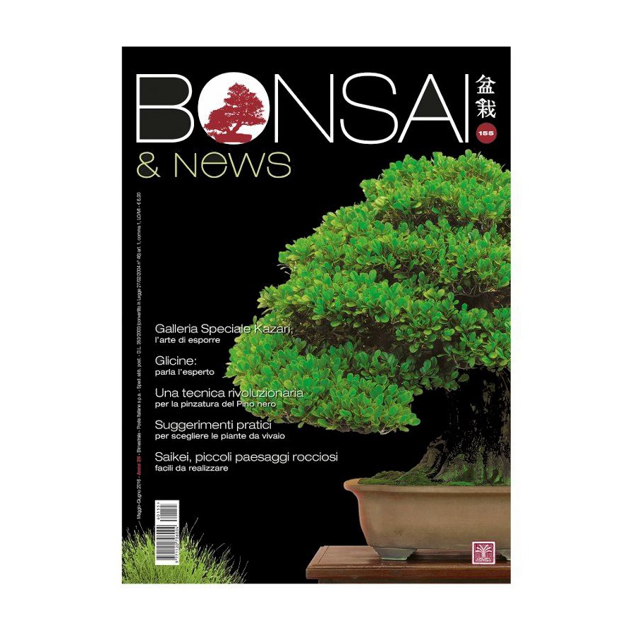 BONSAI & NEWS 155 - MAG-GIU 2016