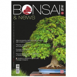 BONSAI & NEWS 156 - LUG-AGO 2016