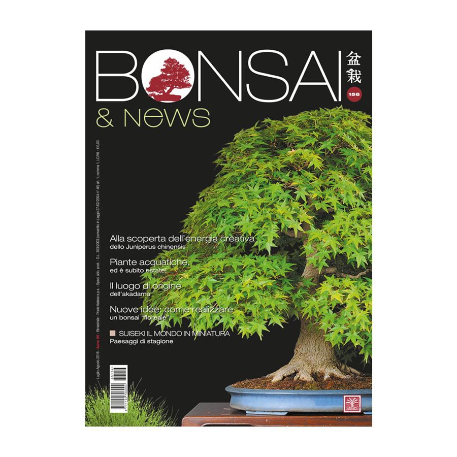 BONSAI & NEWS 156 - LUG-AGO 2016