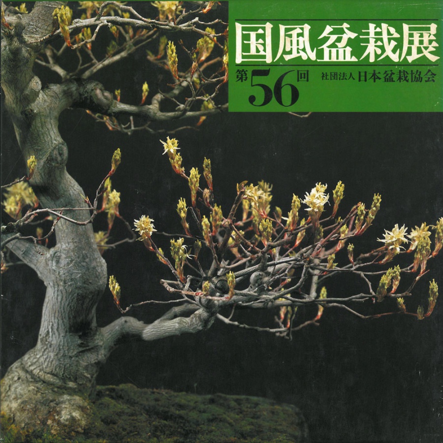 CATALOGO KOKUFU 56 BONSAI EXHIBITION - Anno 1982 Vintage Edition