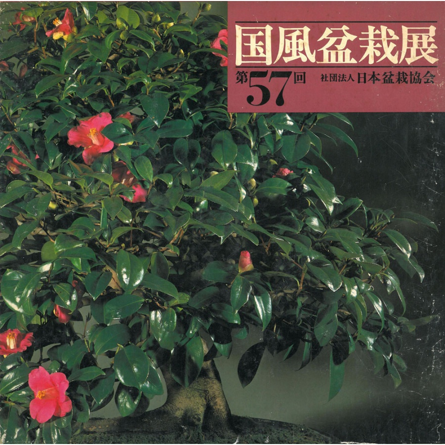 CATALOGO KOKUFU 57 BONSAI EXHIBITION - Anno 1983 Vintage Edition