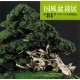 CATALOGO KOKUFU BONSAI EXHIBITION 84 - Anno 2010