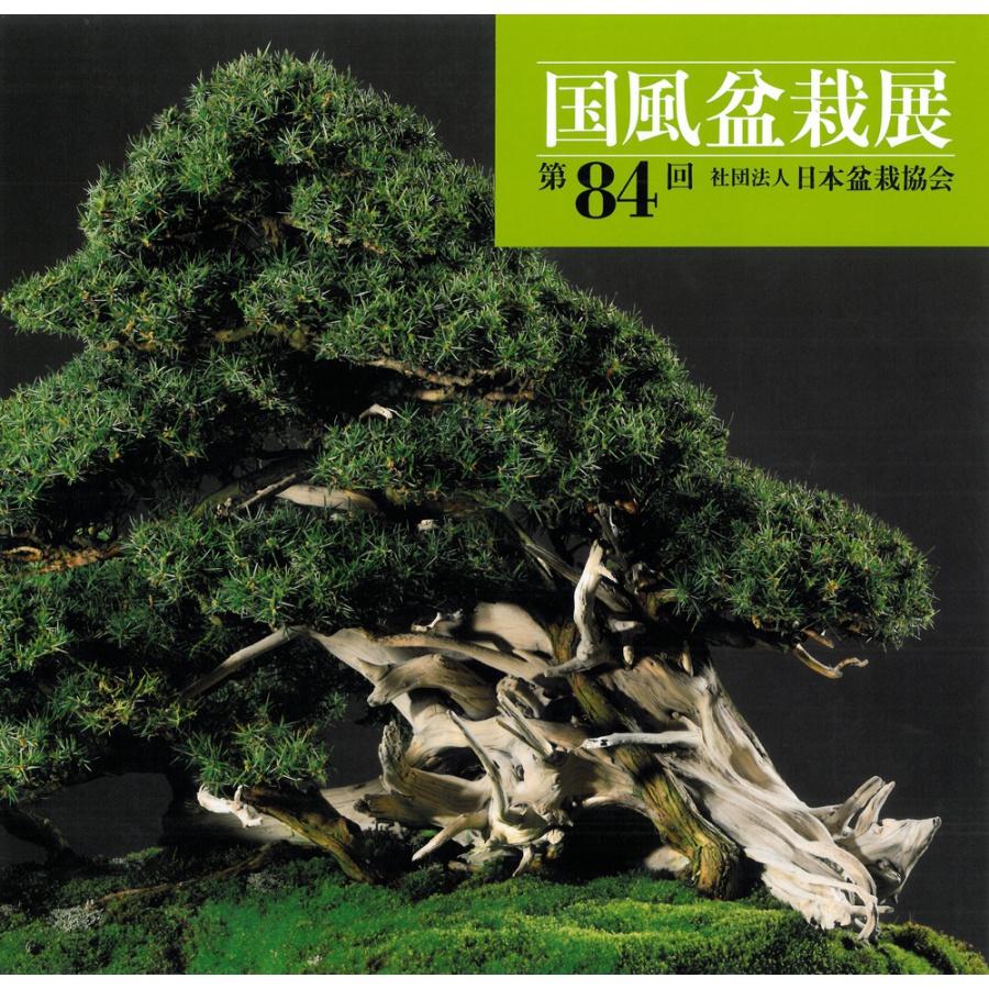 CATALOGO KOKUFU BONSAI EXHIBITION 84 - Anno 2010