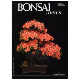 BONSAI & NEWS 1 - SET-OTT 1990
