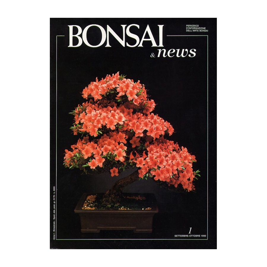 BONSAI & NEWS 1 - SET-OTT 1990