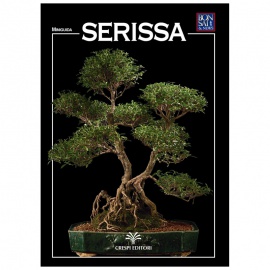 MINIGUIDA - Serissa