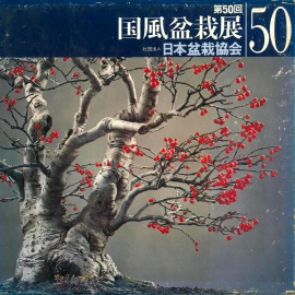 CATALOGO KOKUFU 50 BONSAI EXHIBITION - Anno 1976 Vintage Edition