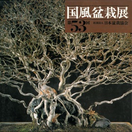 CATALOGO KOKUFU 53 BONSAI EXHIBITION - Anno 1979 Vintage Edition