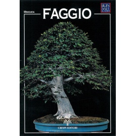 MINIGUIDA - Faggio