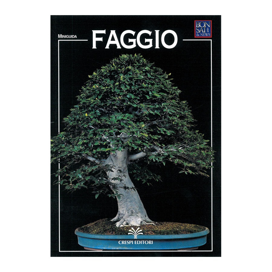 MINIGUIDA - Faggio