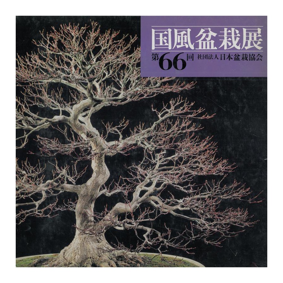 CATALOGO KOKUFU 66 BONSAI EXHIBITION - Anno 1992 Vintage Edition