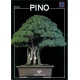 MINIGUIDA - Pino