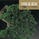 CATALOGO KOKUFU 79 BONSAI EXHIBITION - Anno 2005