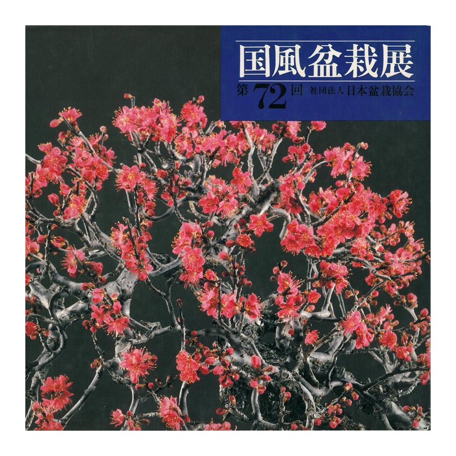 CATALOGO KOKUFU 72 BONSAI EXHIBITION - Anno 1998