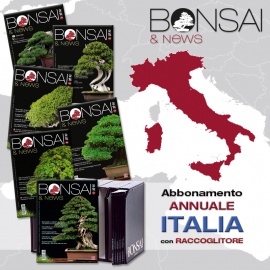 ABBONAMENTO ANNUALE ITALIA CON RACCOGLITORE - BONSAI & NEWS