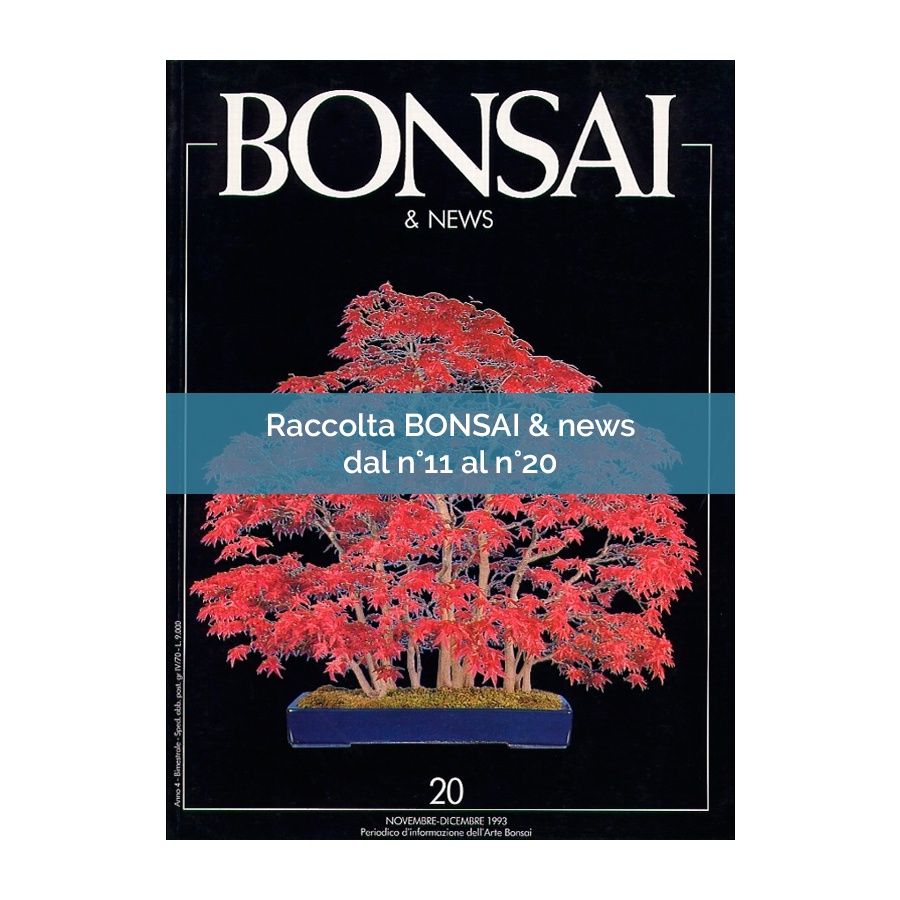 RACCOLTA BONSAI & NEWS DAL 11 AL 20
