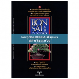 RACCOLTA BONSAI & NEWS DAL 61 AL 70