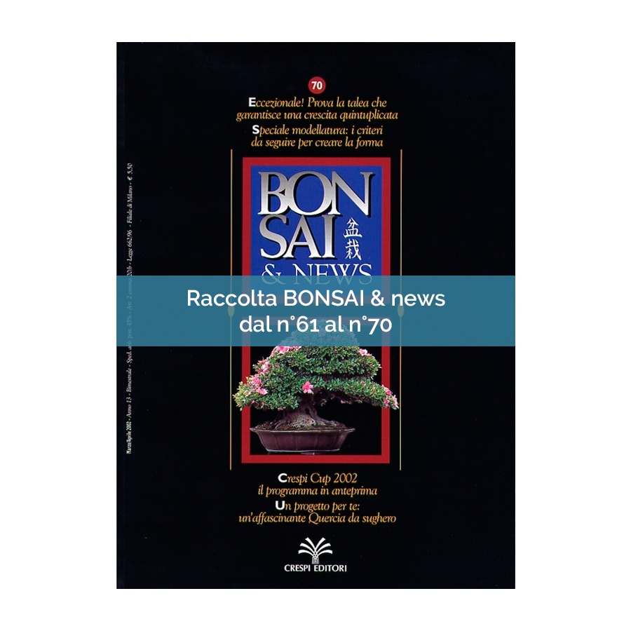 RACCOLTA BONSAI & NEWS DAL 61 AL 70
