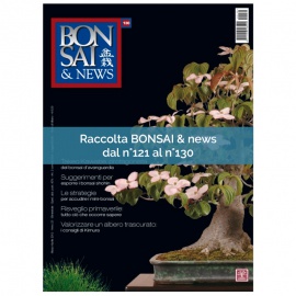 RACCOLTA BONSAI & NEWS DAL 121 AL 130
