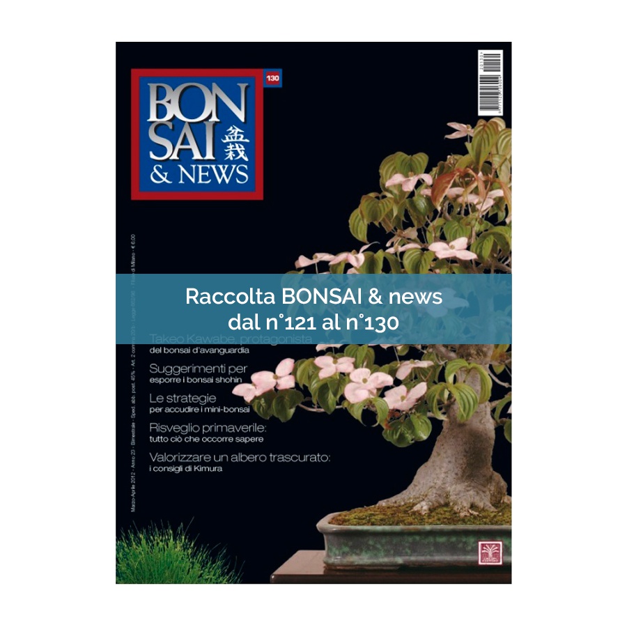 RACCOLTA BONSAI & NEWS DAL 121 AL 130