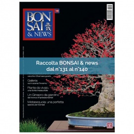 RACCOLTA BONSAI & NEWS DAL 131 AL 140