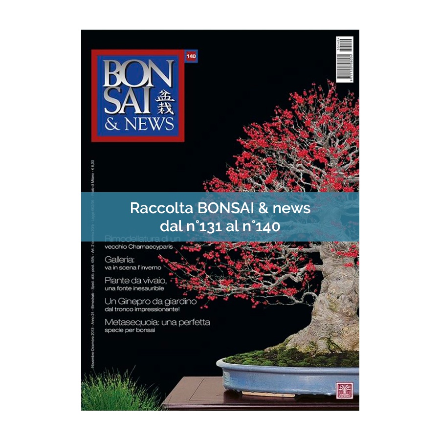 RACCOLTA BONSAI & NEWS DAL 131 AL 140