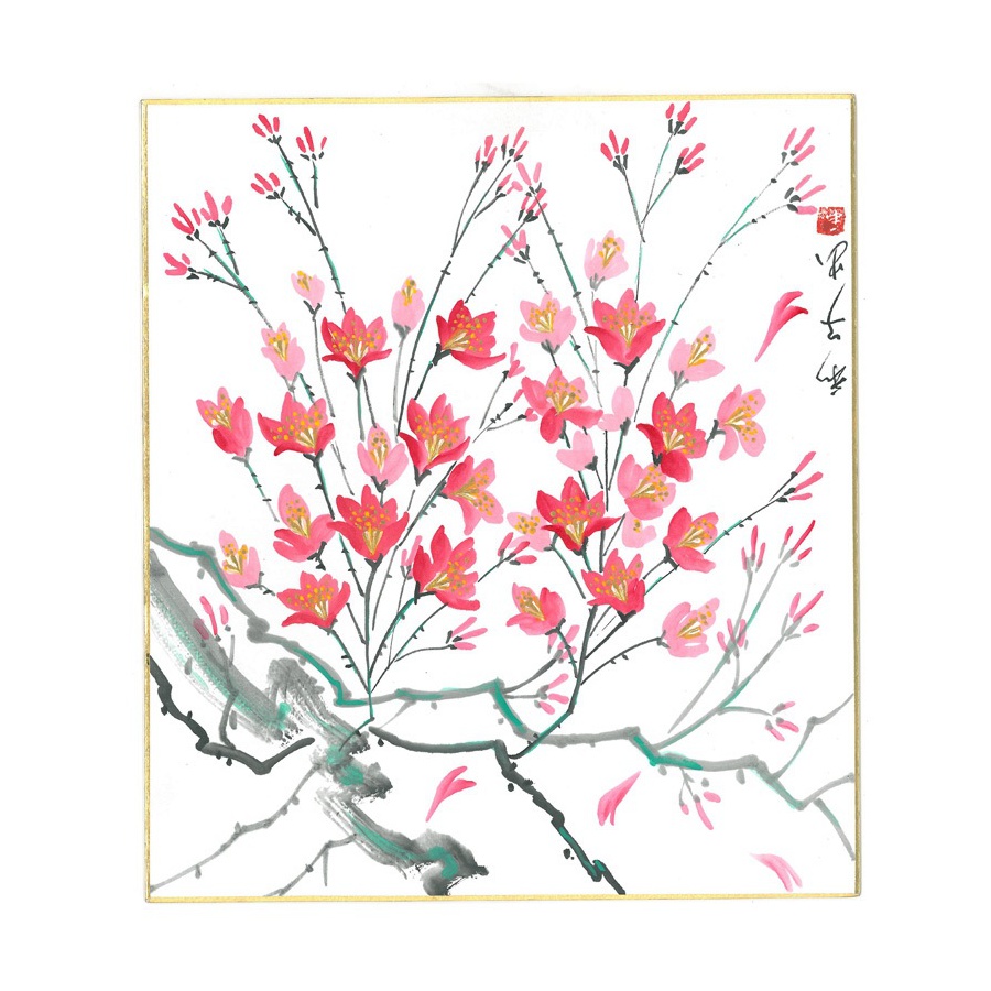 Shikishi_Satsuki